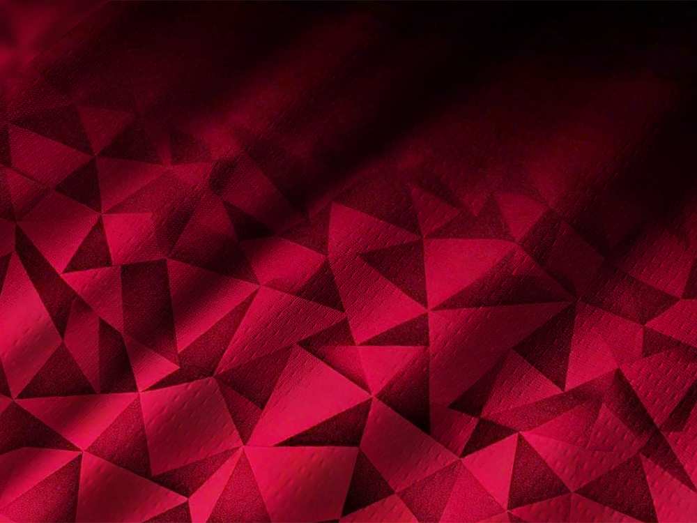 Orionride Red Gemstone Long Sleeve Downhill Jersey